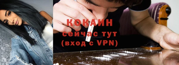 шишки Белокуриха