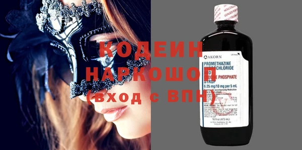 шишки Белокуриха