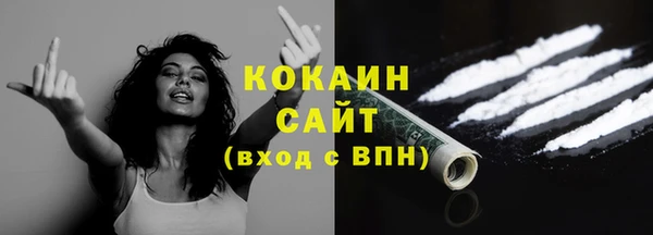 шишки Белокуриха