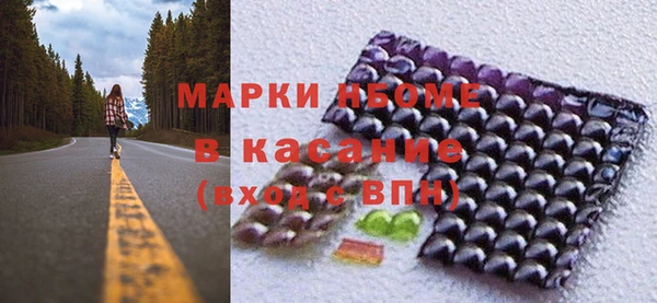 шишки Белокуриха