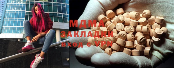 шишки Белокуриха