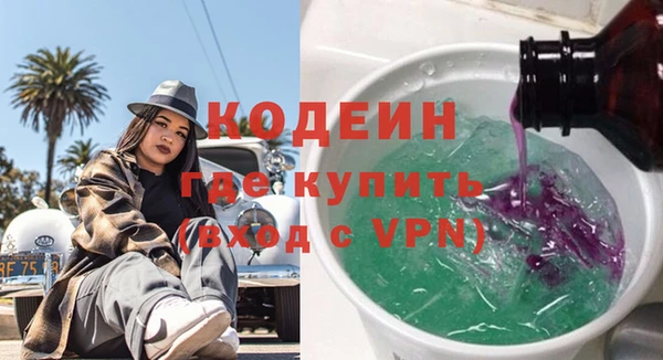 шишки Белокуриха