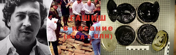 шишки Белокуриха