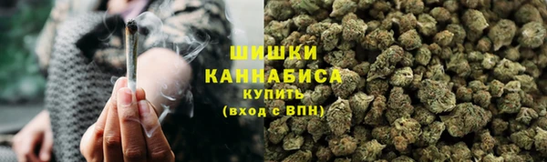 шишки Белокуриха